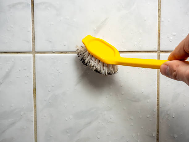 Certified Mold Removal in Leawood, KS