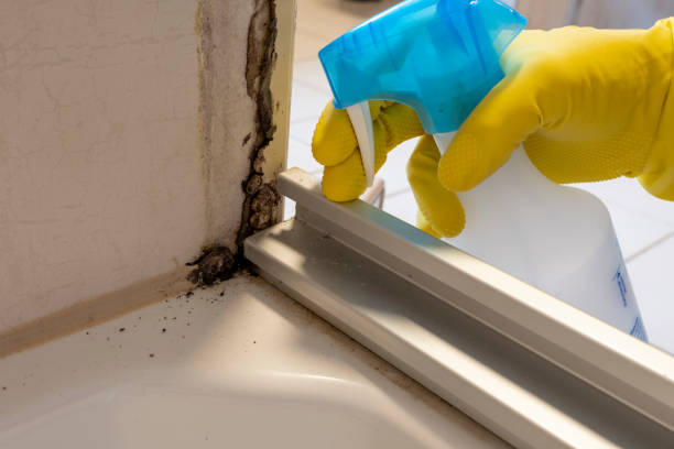 Best Commercial Mold Removal  in Leawood, KS