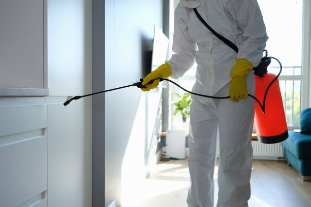 Best Residential Mold Removal  in Leawood, KS