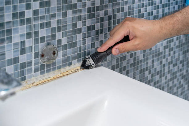 Best Fast Mold Removal  in Leawood, KS