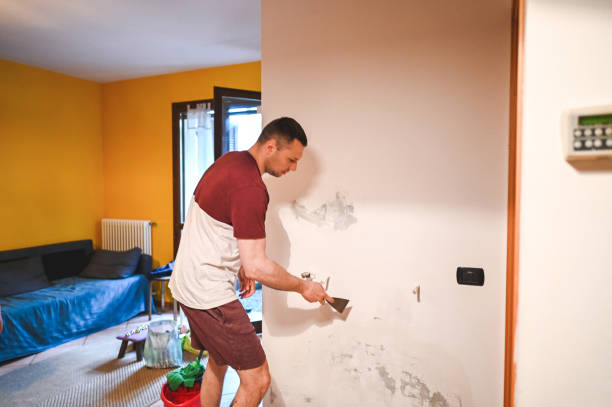 Trusted Leawood, KS Mold Removal Experts