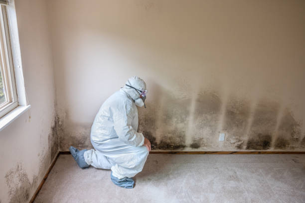 Best Office Mold Removal Services  in Leawood, KS